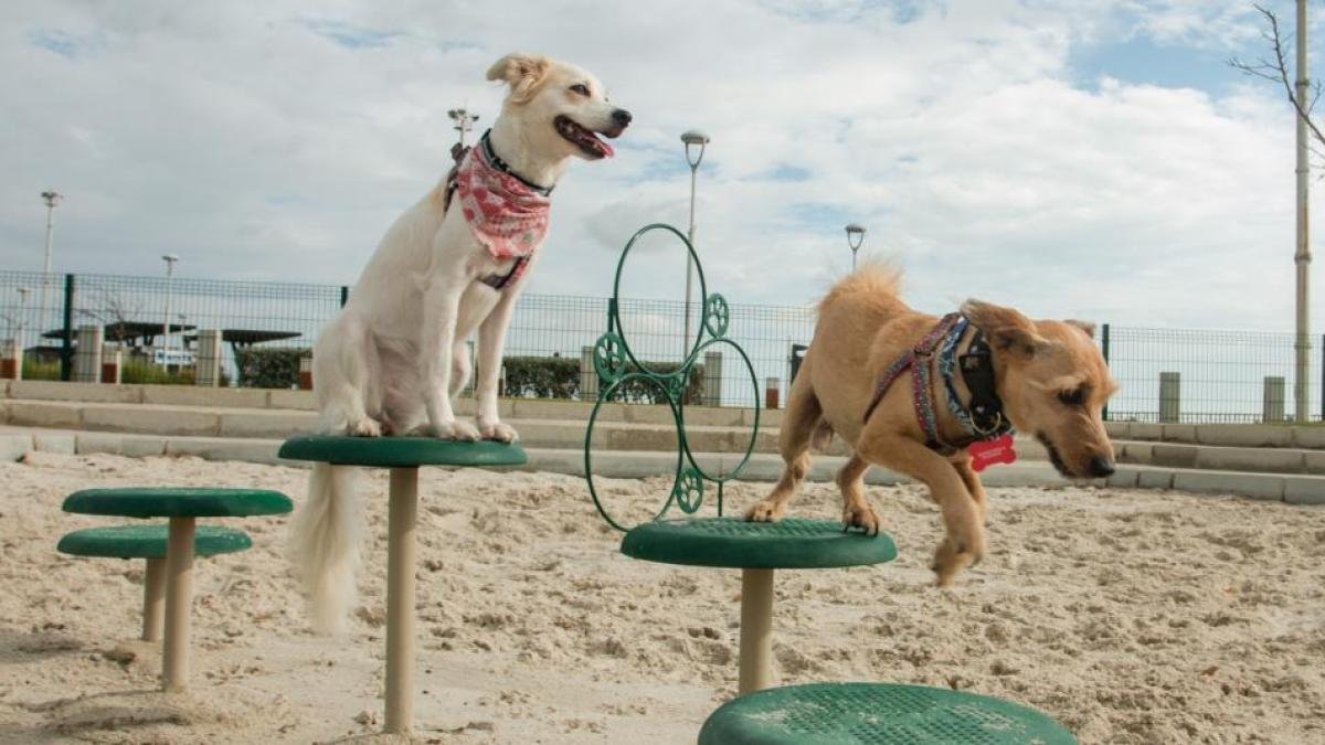 El Parque de Mascotas en El Gran Malecón