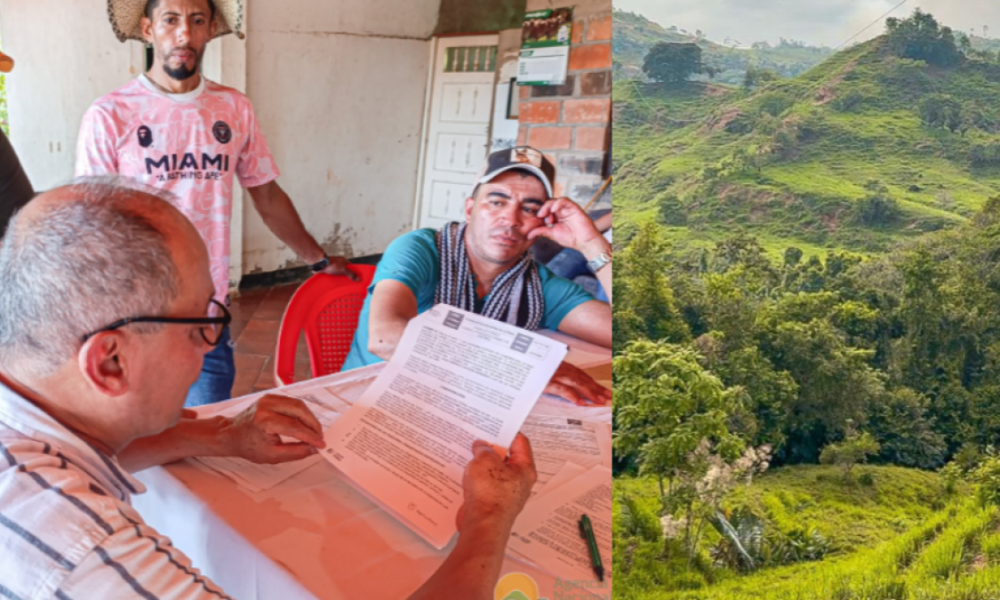 Más de 160 Campesinos Desplazados por la Violencia del Catatumbo Recibirán Tierras: 'Titular es resistir'
