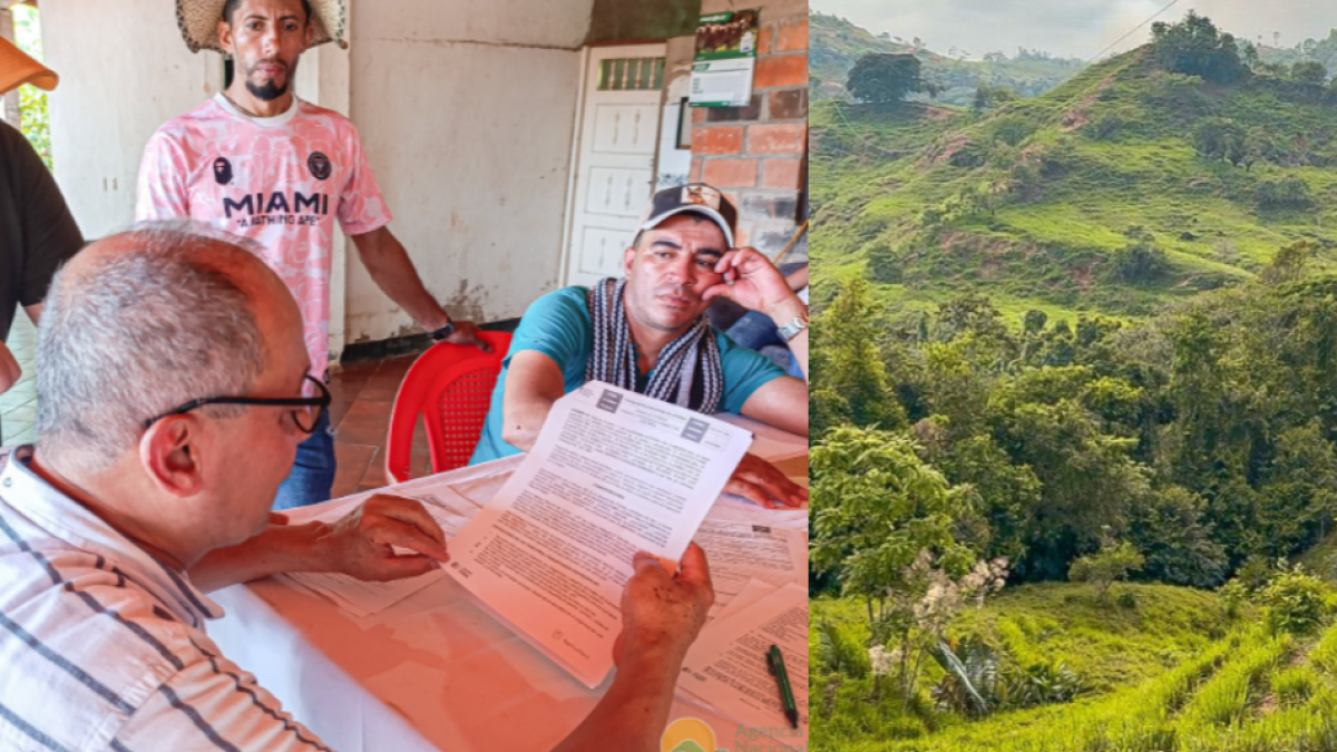 Más de 160 Campesinos Desplazados por la Violencia del Catatumbo Recibirán Tierras: 'Titular es resistir'