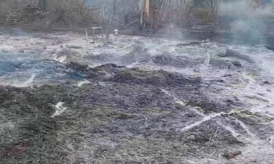 Más de 180 Incendios Forestales se Han Registro en sucre