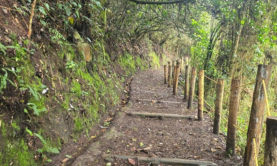 Recomendaciones un Se guir si los va una visita