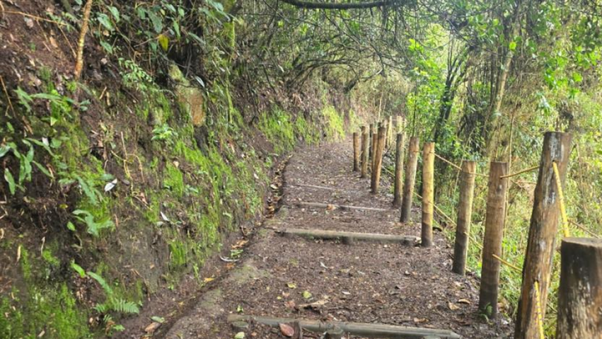 Recomendaciones un Se guir si los va una visita