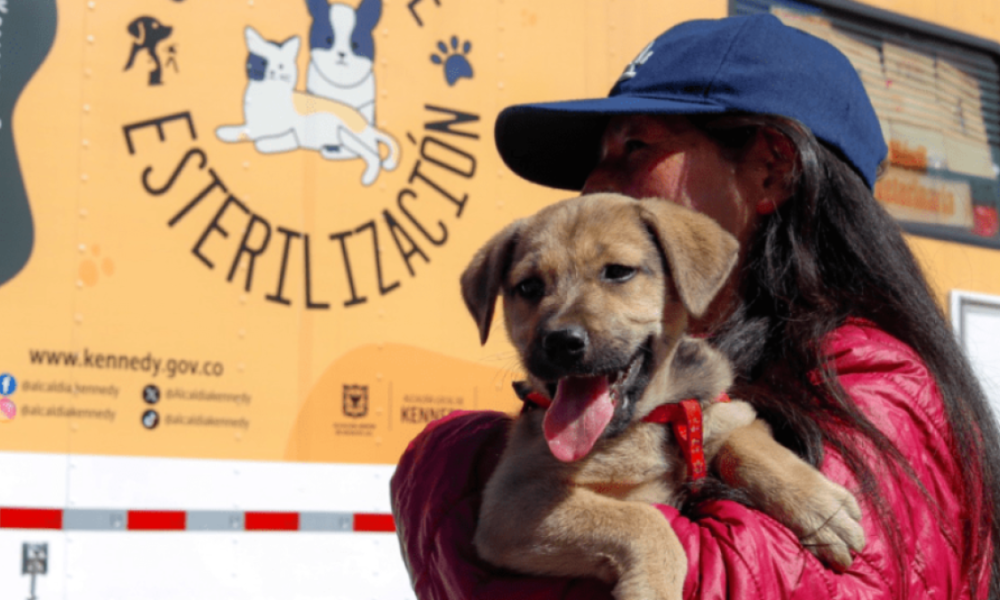Primera Feria de Emprendimientos con productos para mascotas en el sur de bogotá este fin de semana