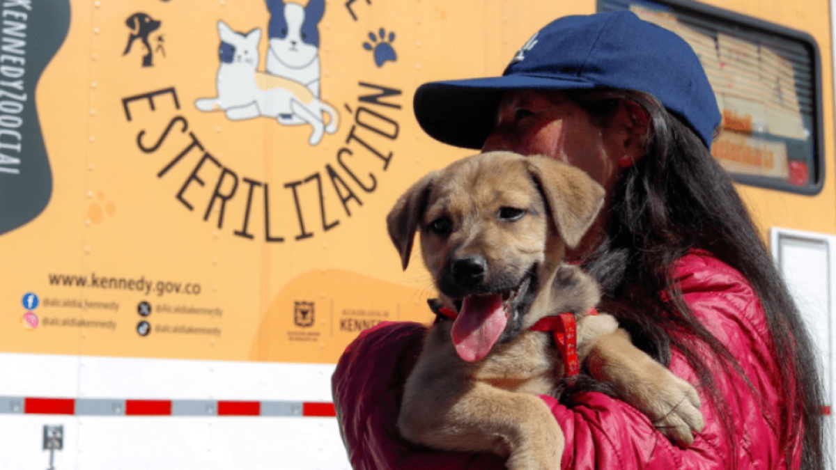 Primera Feria de Emprendimientos con productos para mascotas en el sur de bogotá este fin de semana