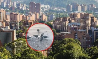Encuentran Extremidades Humanas en Aguas; Investigan Si Sería del Mismo Cuerpo