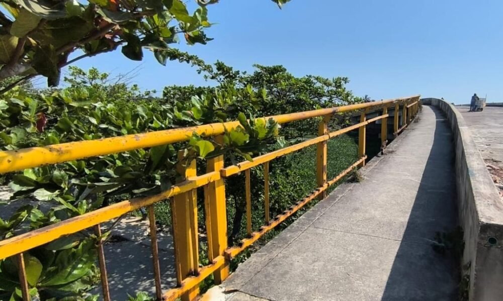 PUENTE INNUCLUSO DE LA CARRERA 50 BAJO LA LUPA DEL CONCEJO