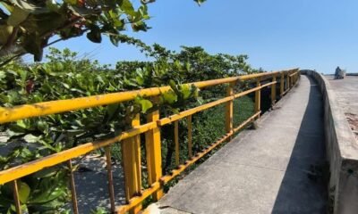 PUENTE INNUCLUSO DE LA CARRERA 50 BAJO LA LUPA DEL CONCEJO