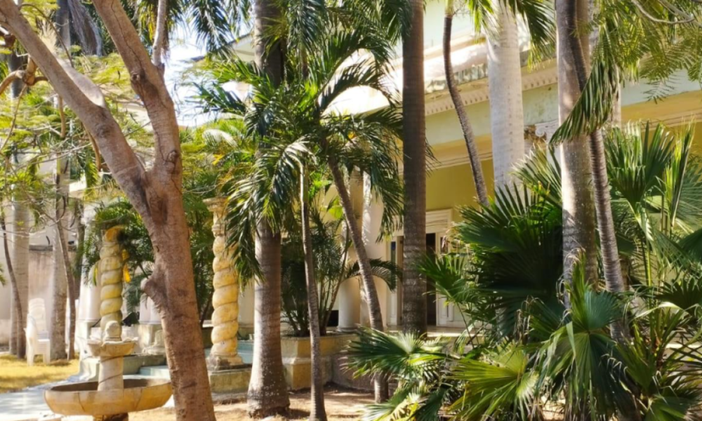 El Sueño de Bellas Artes de la Uniatlánnico se Congela Tras Anuncio del Gobierno Nacional