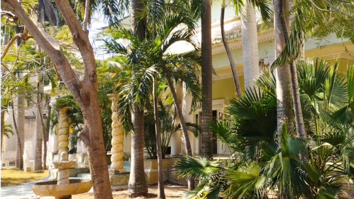 El Sueño de Bellas Artes de la Uniatlánnico se Congela Tras Anuncio del Gobierno Nacional
