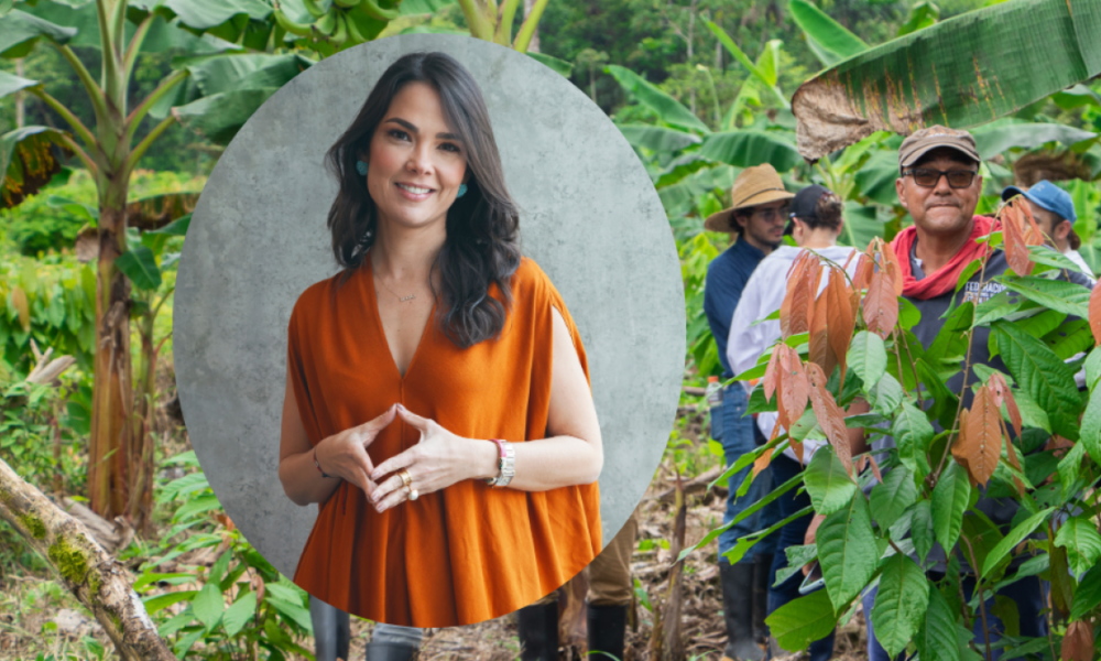 Presidente de Proantioquia Revela Los Pormenores de Dádiva en Proyecto Taparales