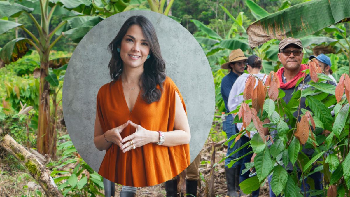 Presidente de Proantioquia Revela Los Pormenores de Dádiva en Proyecto Taparales