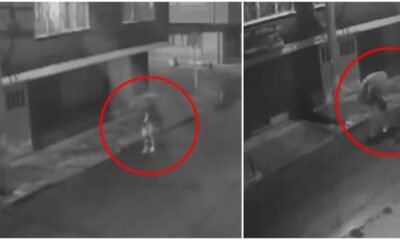 Revelan Video del Crimen de Juliana Galvis, Mujer Asesinada por un Hombre en bicicleta en el Norte de Bogotá