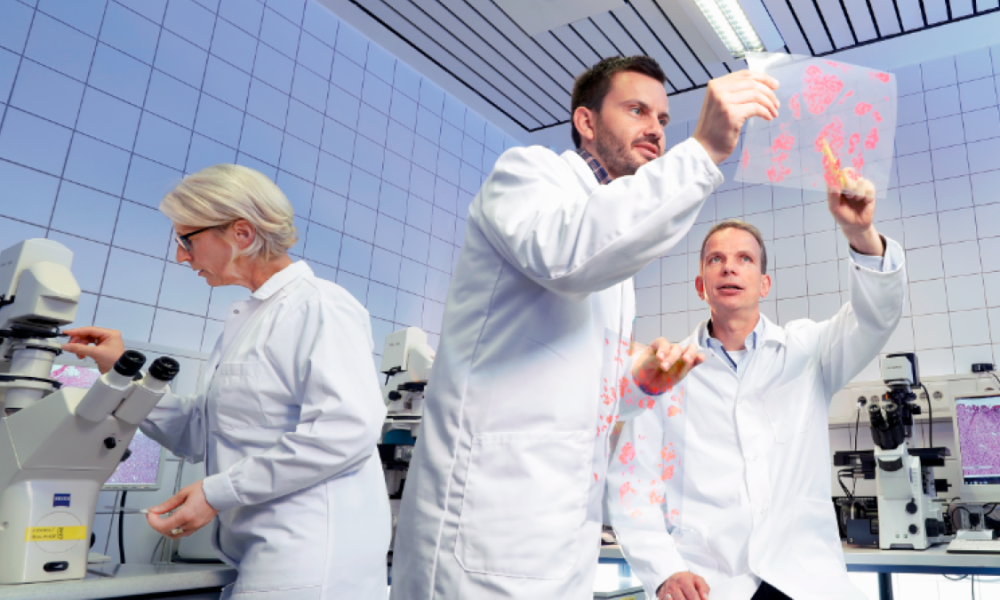 ImpactO de la Inteligencia Artificial en el Sistema de Salud