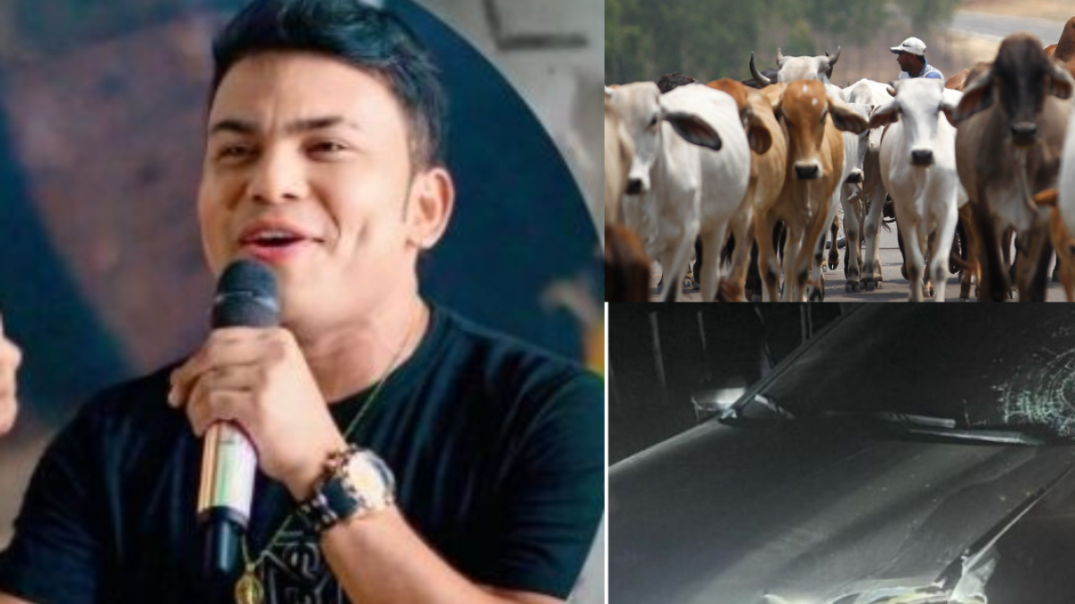 El Cantante de Vallenato Jhon Daza Sigue Con SUS Presentaciones Luego del Accidente de Tránsito Al Choco Con Vacas