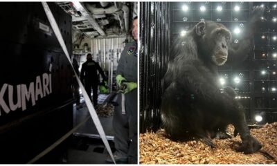 Le Espera una Nueva Vida en Brasil