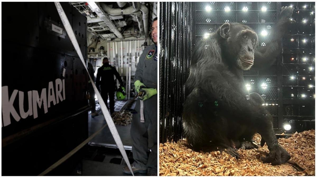 Le Espera una Nueva Vida en Brasil