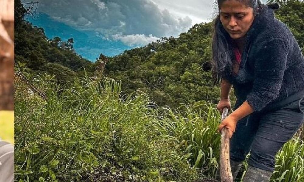 Abren Convocatoria para proyectos productivos de agricultores en colombia