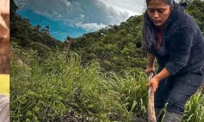 Abren Convocatoria para proyectos productivos de agricultores en colombia