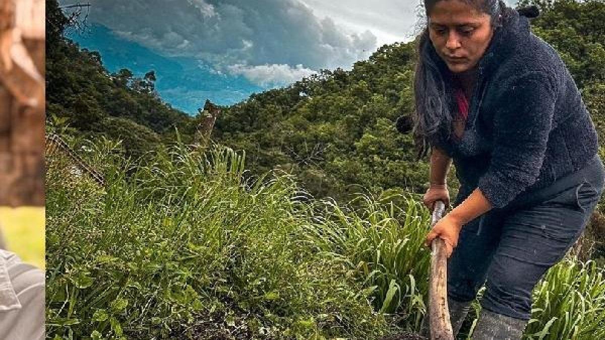 Abren Convocatoria para proyectos productivos de agricultores en colombia