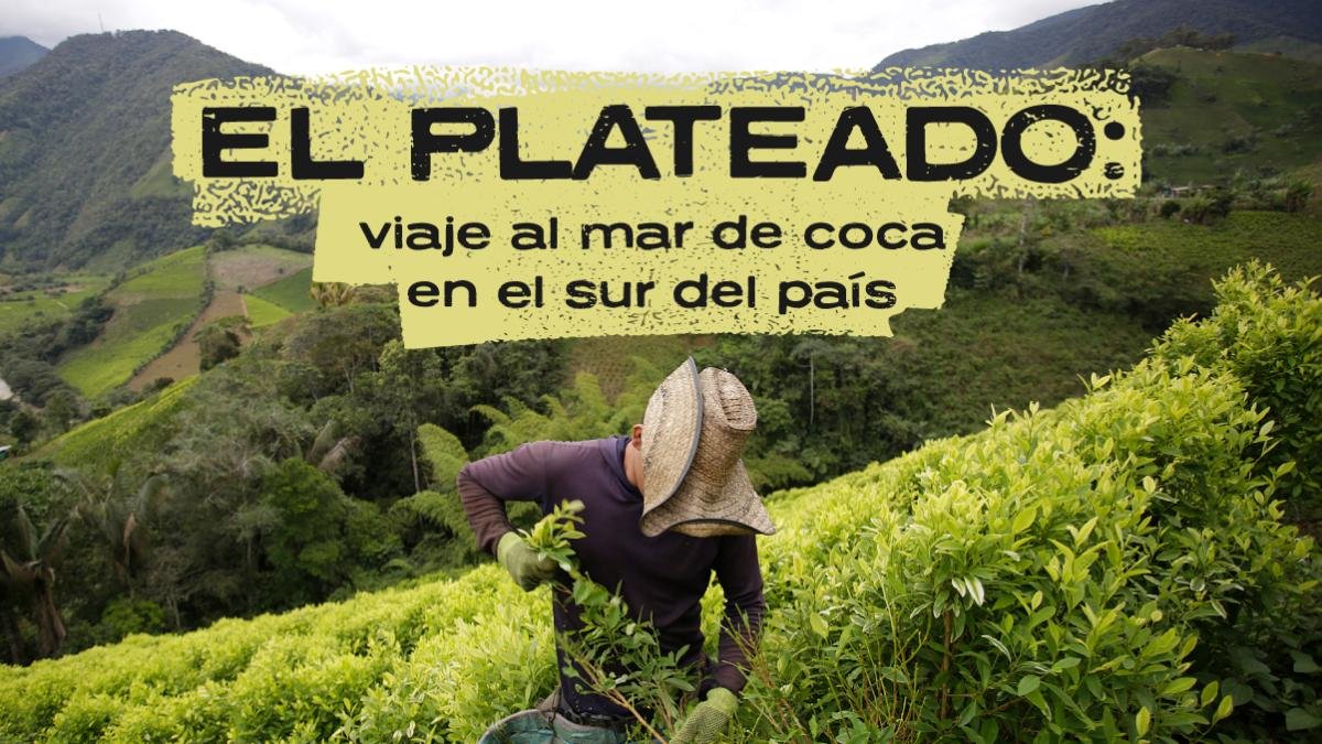 ¿Dónde queda y cómo se vive en el mar de coca en el sur de colombia?