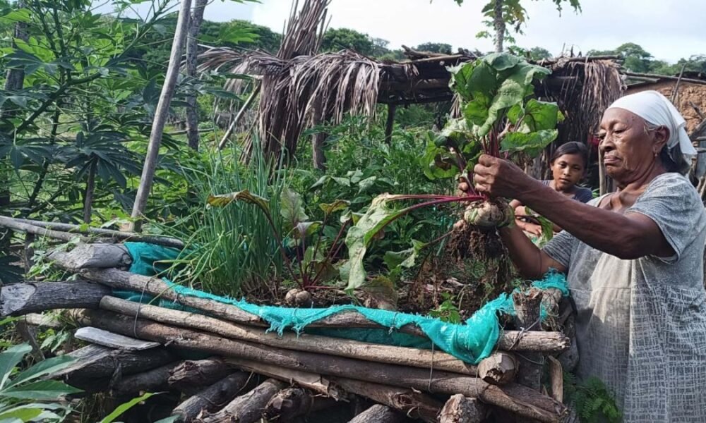 La Guajira Avanza Hacia la Sostenibilidad Con SUS Comunidades
