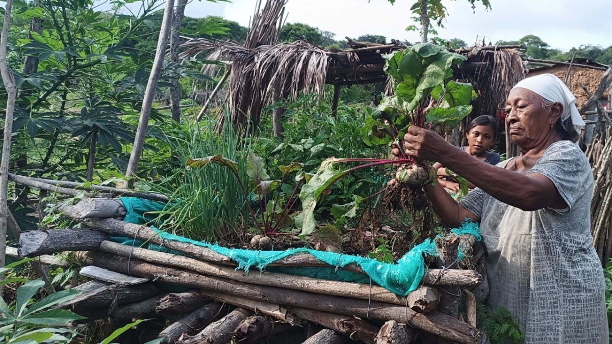 La Guajira Avanza Hacia la Sostenibilidad Con SUS Comunidades