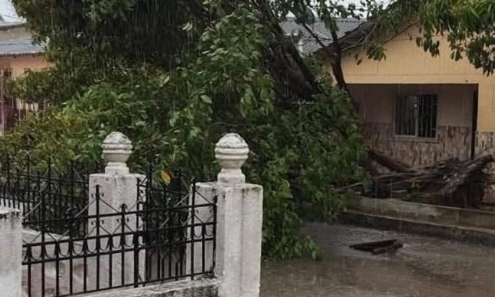 17 Barrios Afectados y en Emergencia