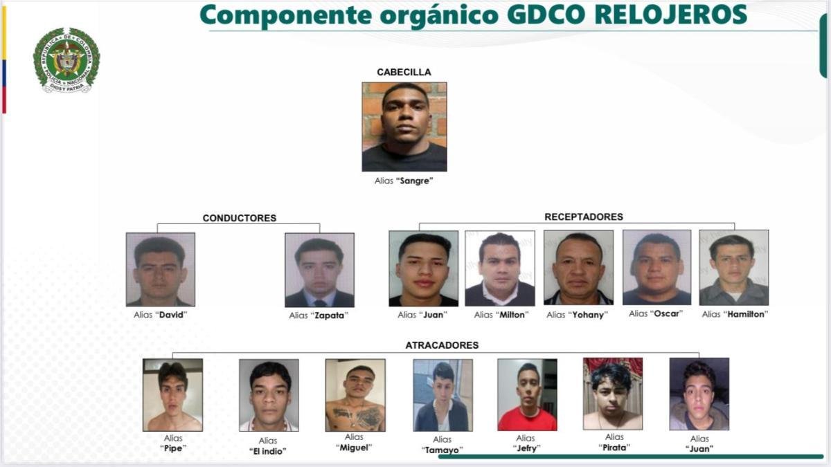 PRONTUARIO Criminal de la Banda que Roba Relojes y Que Juez Dejó en Libertad en Bogotá