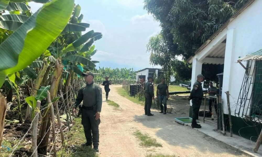 Recudecimiento de Guerra Paramilitar en Zona Bananera