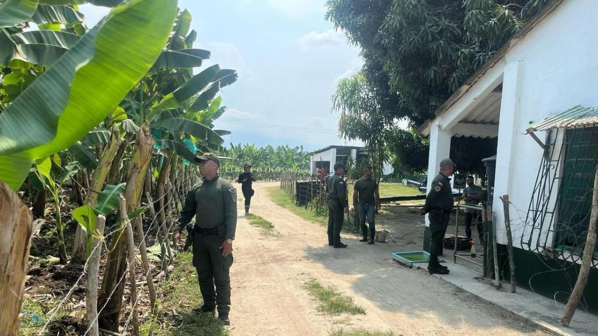 Recudecimiento de Guerra Paramilitar en Zona Bananera