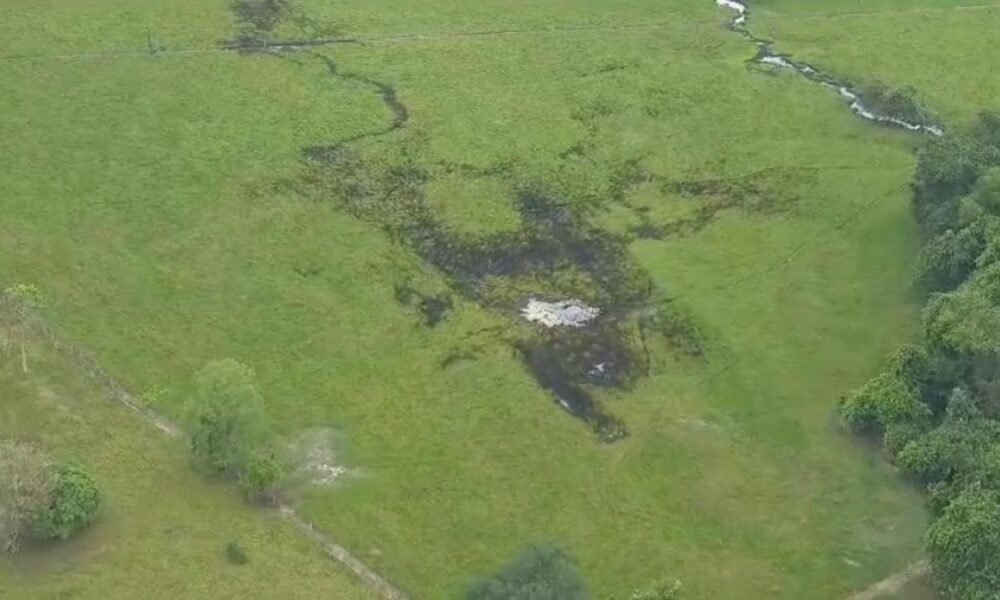 Al Menos Cinco Ganaderos, En Poder de Un Grupo Armado Ilegal en Arauca