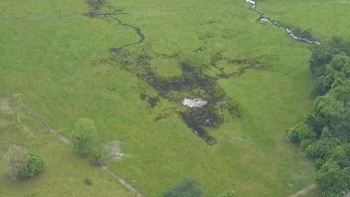 Al Menos Cinco Ganaderos, En Poder de Un Grupo Armado Ilegal en Arauca