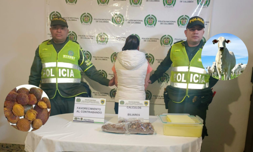 ¿Qué Son Y Por Qué Valen Tanto?