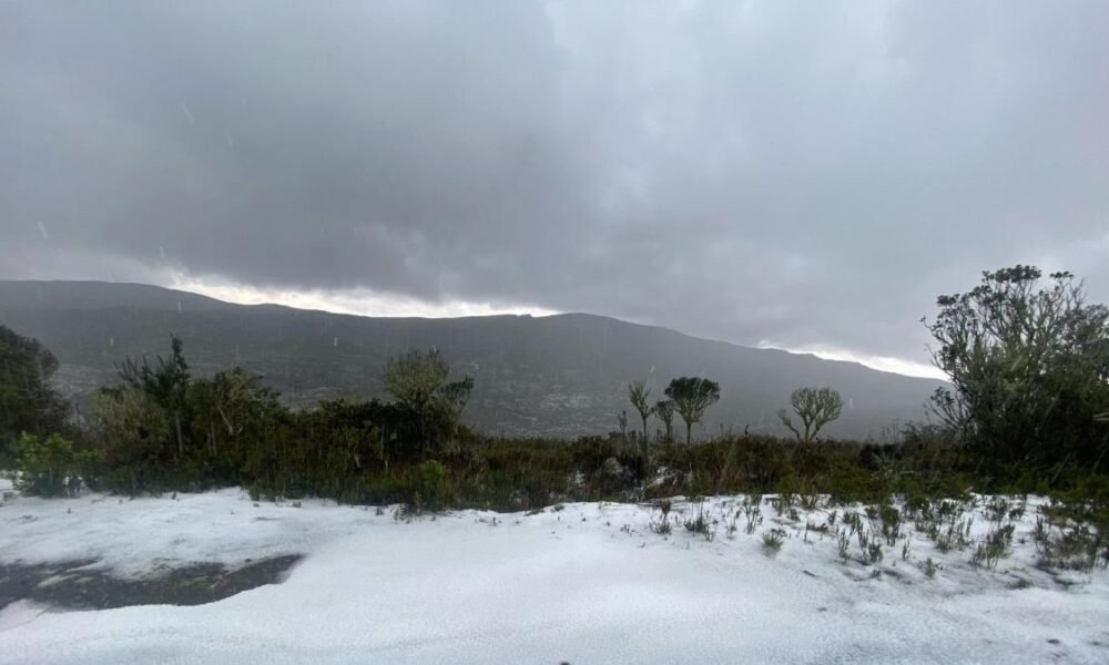 Sorprendente Nevada Cubre de Blanco A Paquiló, Sumaz, Durante Monitoreo de Osos