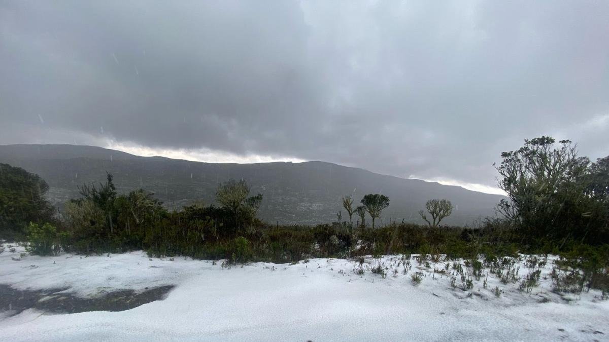 Sorprendente Nevada Cubre de Blanco A Paquiló, Sumaz, Durante Monitoreo de Osos
