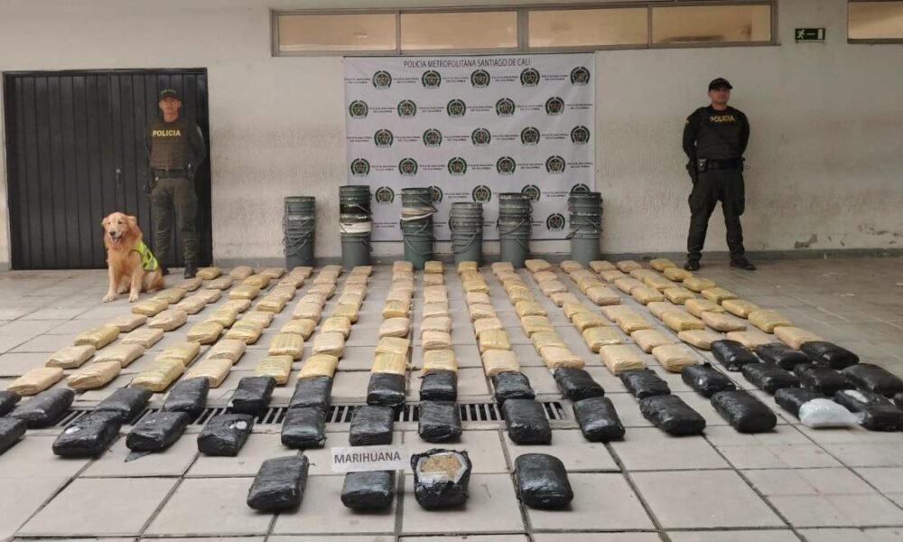 154 kilos iban un ser envadoidos un antioquia; ¿CÓMO FUE EL OPERATIVO?