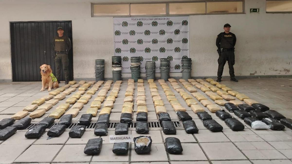 154 kilos iban un ser envadoidos un antioquia; ¿CÓMO FUE EL OPERATIVO?