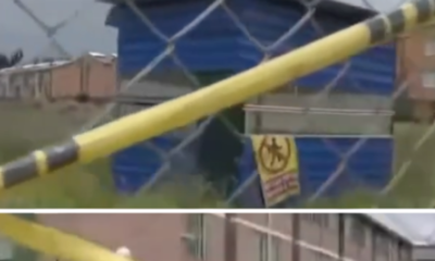 Sanción A Dueños de Predio en Bogotá Por Remoción de Cobertura Vegetal Permiso para Hacer un parqueadero