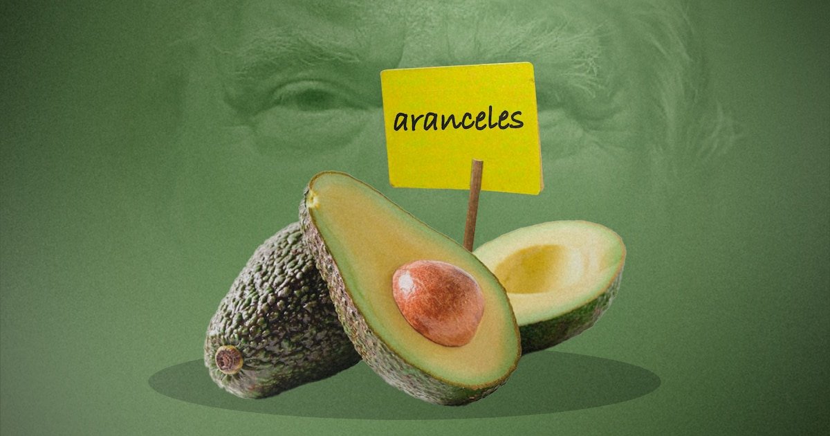 Aranceles a México: aguacate, el “oro verde” en riesgo de encarecerse por falta de acuerdo; ¿se olvida del Super Bowl?