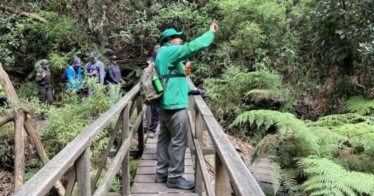 Bogotá reabre los senderos de los Cerros Orientales con nuevas opciones para caminatas ecológicas