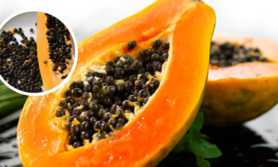 Cinco formas sencillas de aprovechar las semillas de papaya en casa y mejorar tu salud