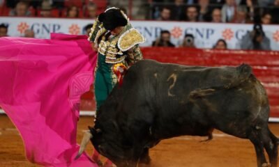 Clara Brugada celebró la prohibición de corridas de toros con violencia en CDMX; promete una ciudad animalista