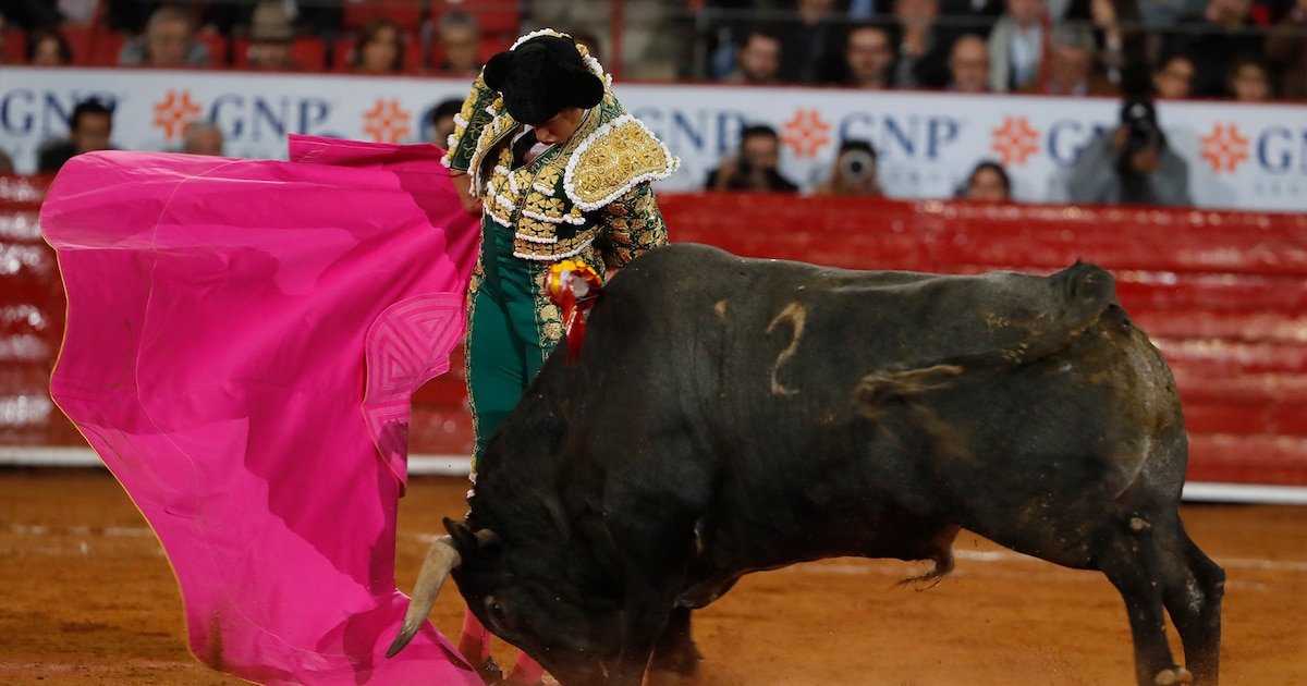 Clara Brugada celebró la prohibición de corridas de toros con violencia en CDMX; promete una ciudad animalista
