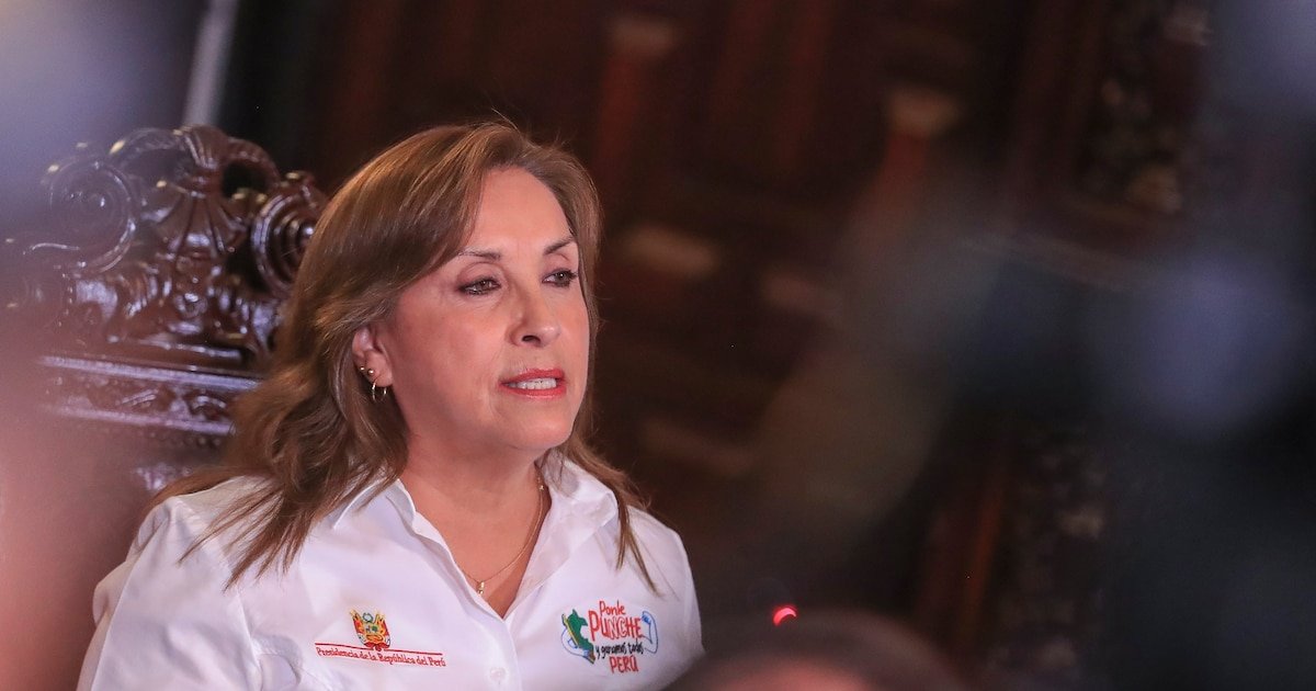 Dina Boluarte habría ofrecido trabajo remoto y en planilla secreta a hijo de Mario Cabani, cirujano que la operó