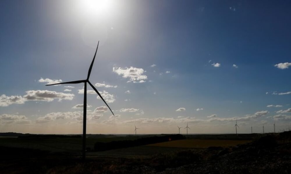 Edenor y Edesur mostrarán en las facturas de los grandes consumidores el costo de la energía renovable que utilizan