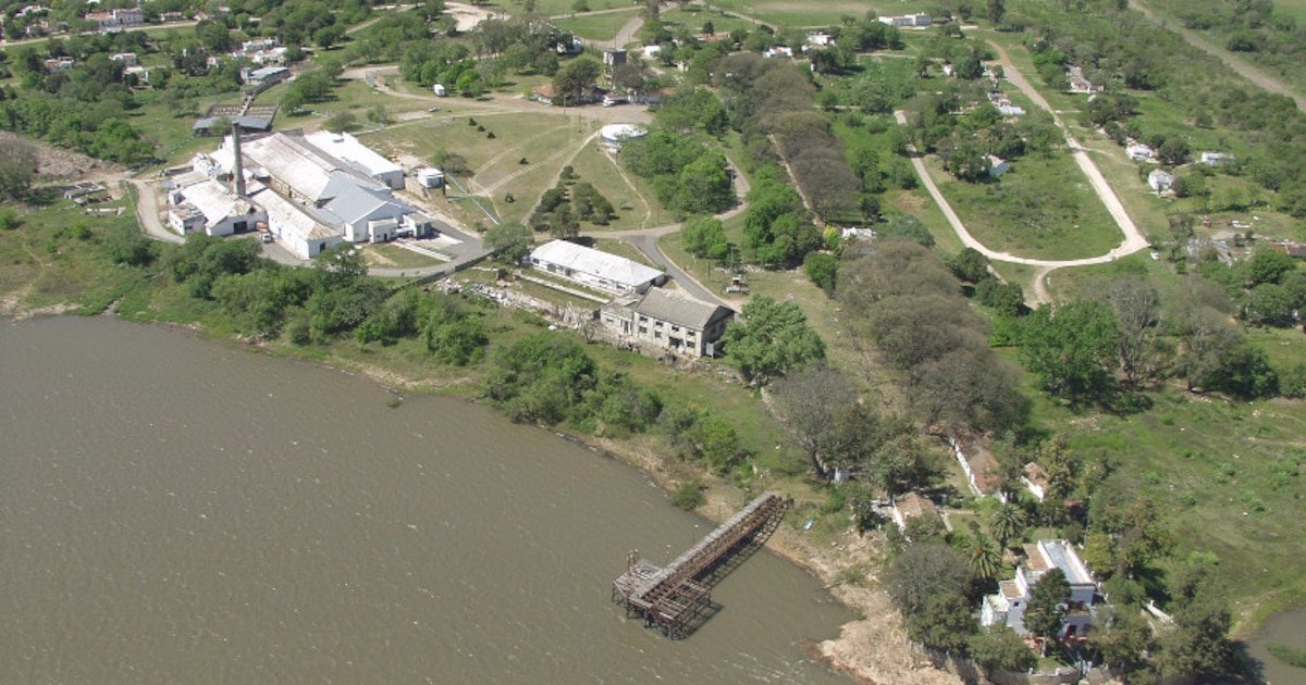 La caída de los fondos ganaderos en Uruguay provocó una crisis en el frigorífico más antiguo del mundo