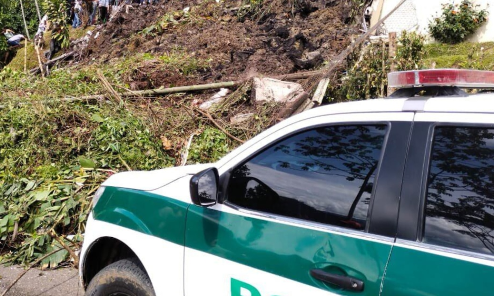 Masacre en Andes, Antioquia: cuatro trabajadores fueron asesinados en una finca cafetera, investigan posible vínculo con disputas criminales