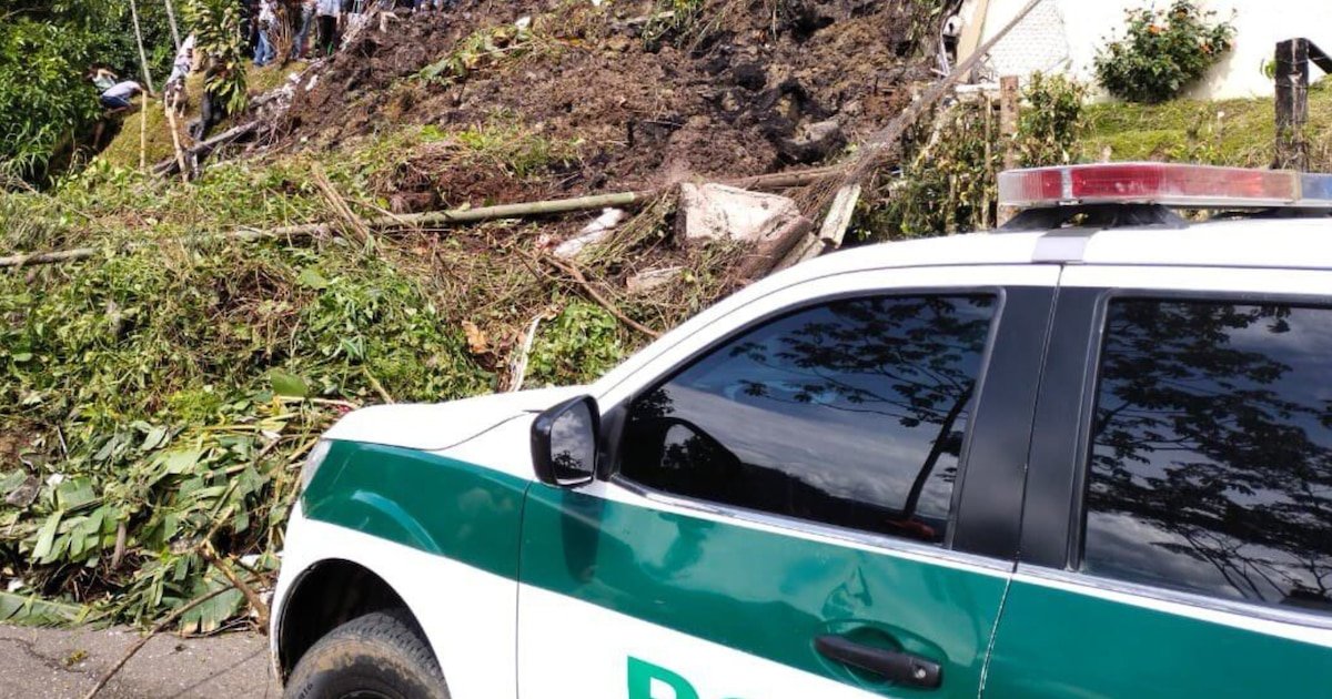 Masacre en Andes, Antioquia: cuatro trabajadores fueron asesinados en una finca cafetera, investigan posible vínculo con disputas criminales