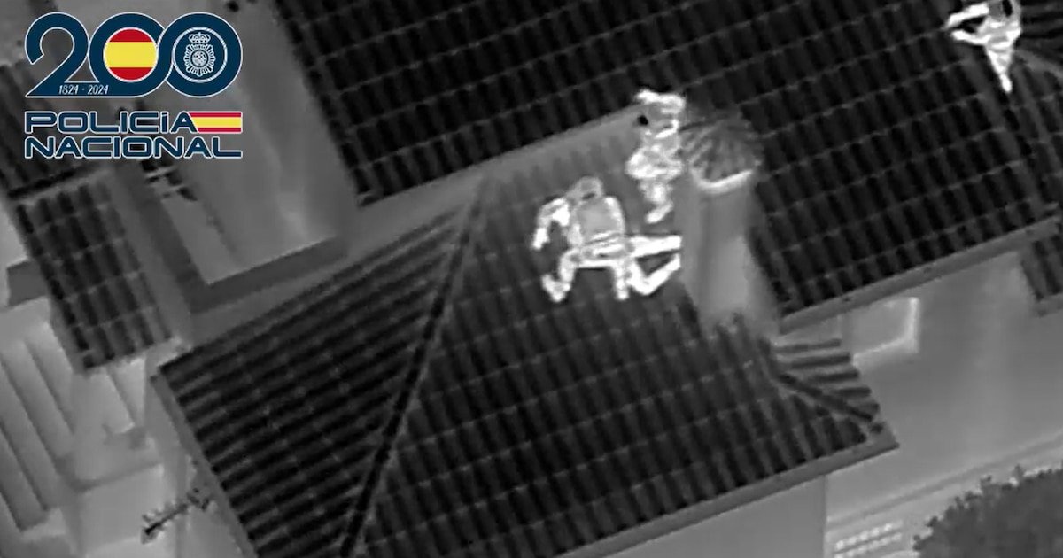 Plantaciones de marihuana en chalets de lujo: desarticulada una red criminal que se dedicaba al cultivo de la droga en Granada y Málaga