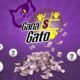Resultados Gana Gato: ganadores del sorteo del 6 de marzo